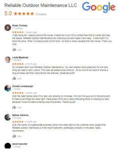 Lawn Care Reviews