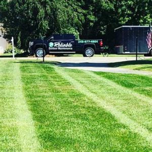 Professional Lawn Care
